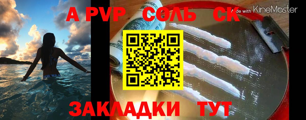 Альфа ПВП СК Майкоп