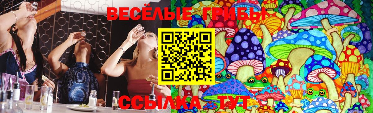 Псилоцибиновые грибы Magic Shrooms  Галлюциногенные грибы мицелий  Майкоп  дарнет шоп  Вход с VPN 