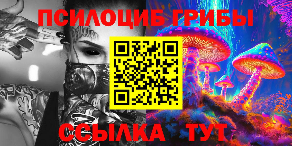 Псилоцибиновые грибы прущие грибы Майкоп